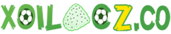 vios cũ
